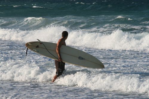 surf-013.JPG
