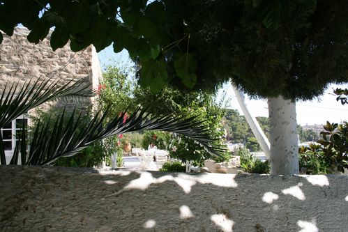 cigales-070.JPG