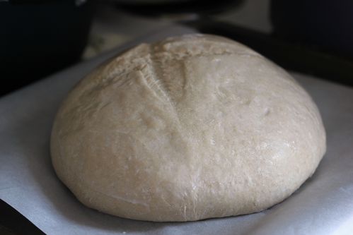 boulange 5569