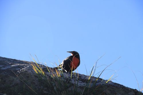 Quebrada 0428