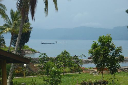 Lac Toba Ile au centre Tuktuk (4)