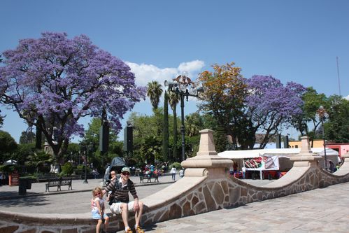 Guanajuato 7805
