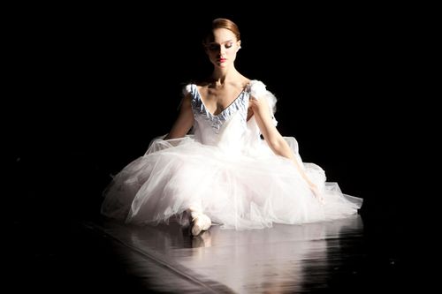 Black-swan-2.jpg