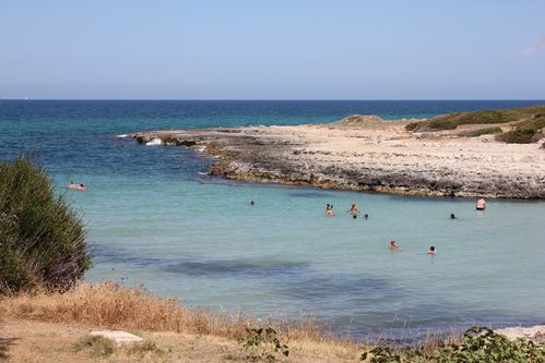 C-Oui vous souhaite de bonnes vacances...