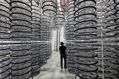 weiwei-1.jpg