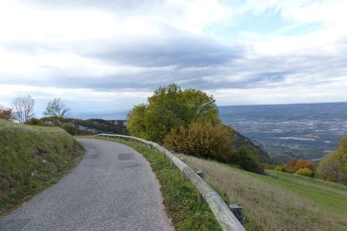 P1020291 revu