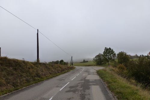 P1020190(avant le Faz)