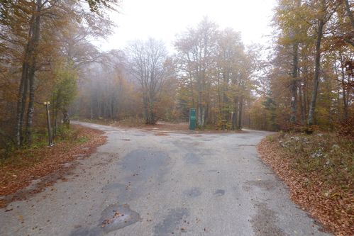 P1020243 (carrefour de la patte d'oie)