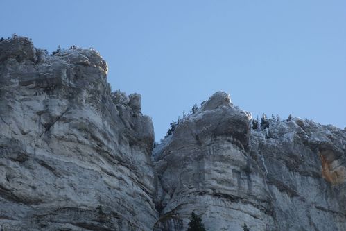 P1020259 cropped