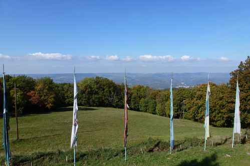 P1020130
