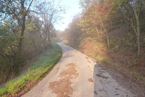 P1020913 montée vers col de la Combe de Beaune revue