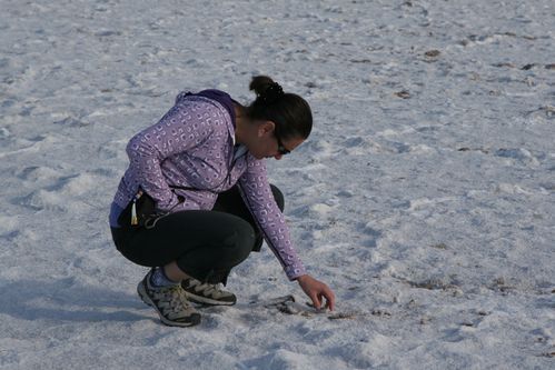 DEATH VALLEY 3467