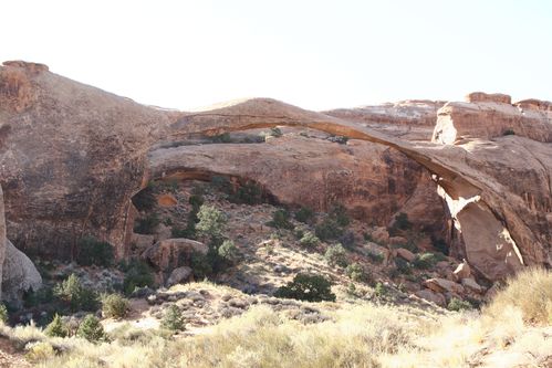 ARCHES NP 1166