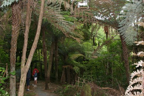 NORTHLAND-52