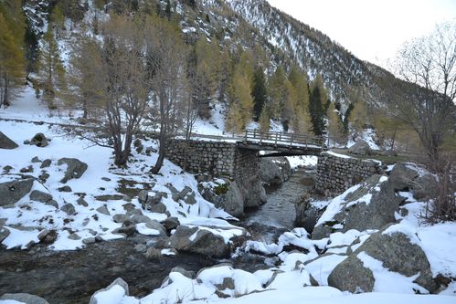 gordo-boreon-le-02-11-2012-025.JPG