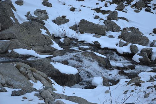 gordo-boreon-le-02-11-2012-061.JPG