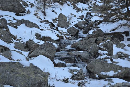 gordo-boreon-le-02-11-2012-063.JPG