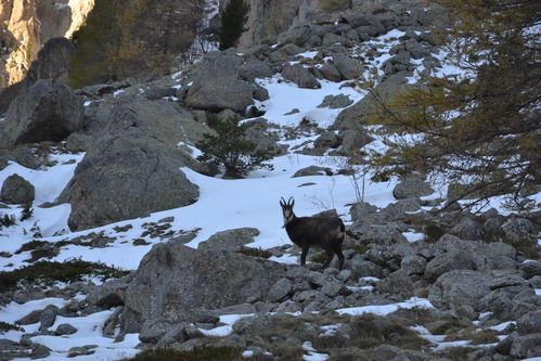 gordo-boreon-le-02-11-2012-077.JPG