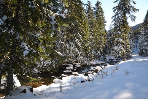 gordo-boreon-le-02-11-2012-146.JPG