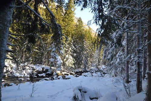 gordo-boreon-le-02-11-2012-155.JPG