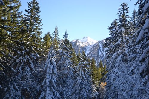 gordo-boreon-le-02-11-2012-163.JPG