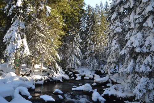 gordo-boreon-le-02-11-2012-173.JPG