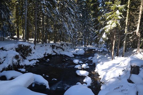gordo-boreon-le-02-11-2012-174.JPG