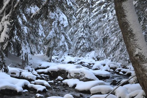 gordo-boreon-le-02-11-2012-182.JPG
