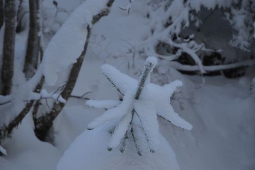 gordo-boreon-le-02-11-2012-186.JPG