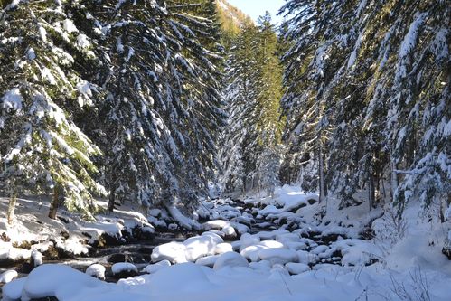 gordo-boreon-le-02-11-2012-190.JPG