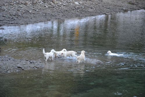 gordo-boreon-le-02-11-2012-204.JPG