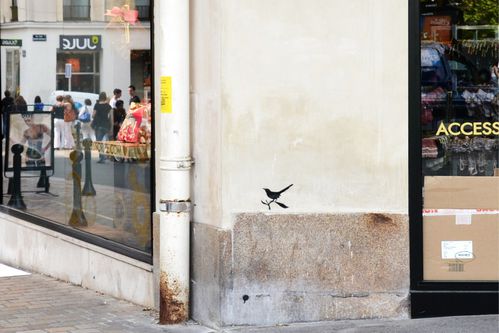 Un oiseau dans la ville calvaire recadré 20-30.psd