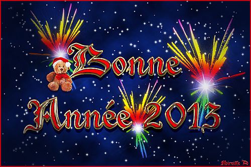 Bonne année 2013