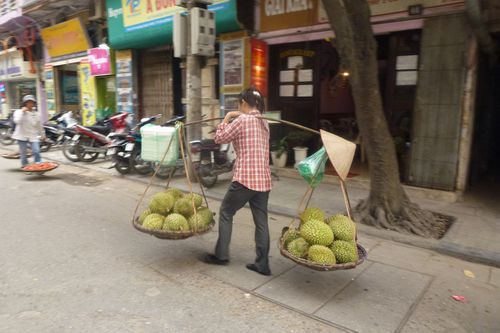 transport-des-fruits.jpg