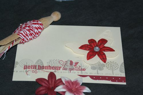 cartes-fevrier-2013-007.JPG
