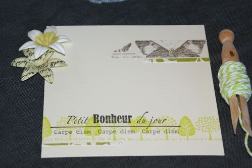 cartes-fevrier-2013-012.JPG