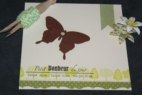 cartes-fevrier-2013-020.JPG