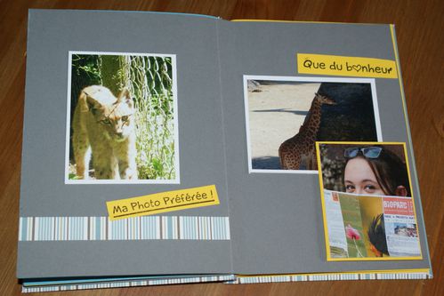 juillet 2012 045