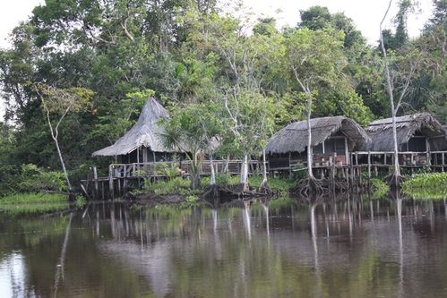 village d'indien waraos sur le delta de l'orénoque