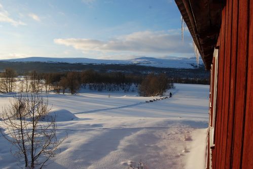 2009-12-28 Hodalen3