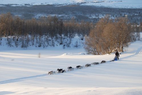 2009-12-28 Hodalen5