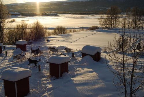 2009-12-28 Hodalen7 arrivee chenil