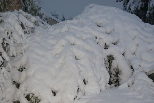 neige112010-034.JPG