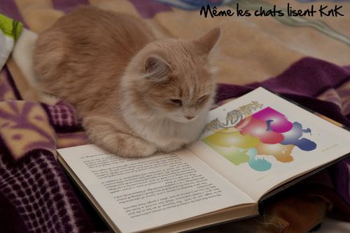 Même les chats lisent KnK