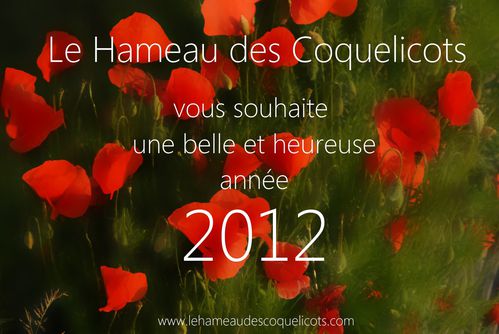 Le-Hameau-des-Coquelicots--Voeux2012.jpg
