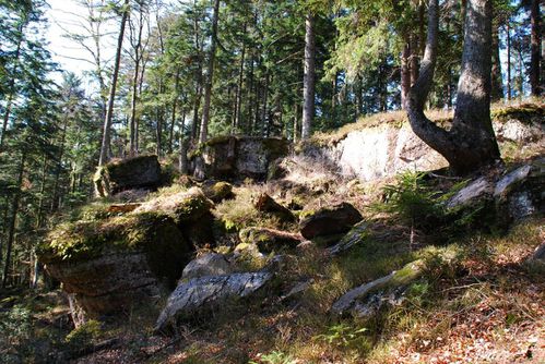 L06 - rando foret de Repy - roche du coucou [1280x768]