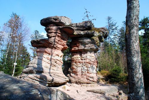 K11 - Rocher de Mutzig - Porte de Pierre052