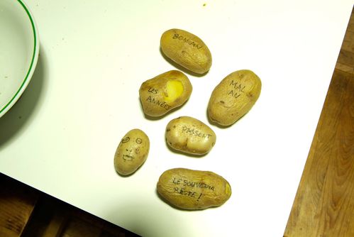 jean-cerezal-callizo-pour-Emilie-poisson-2011.jpg