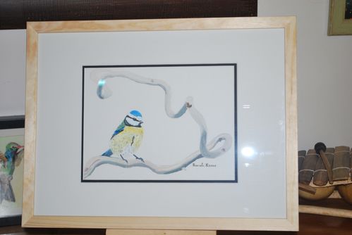 mesange bleue3 001