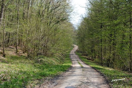 le chemin à suivre